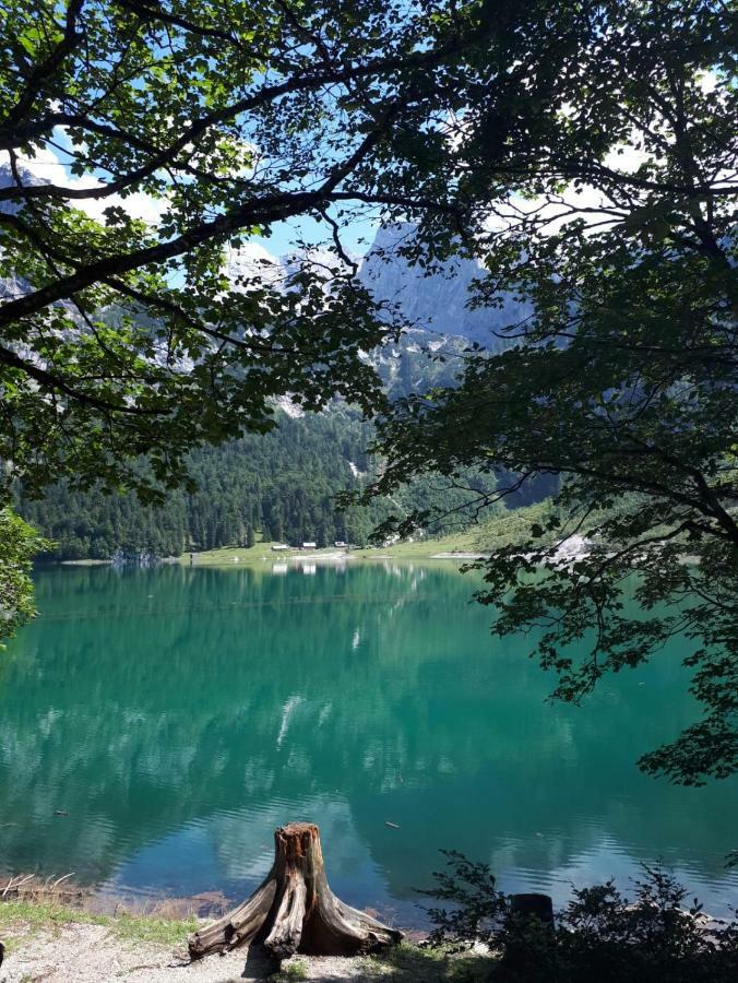 Hallstatt Dachstein Inn Gosau Εξωτερικό φωτογραφία