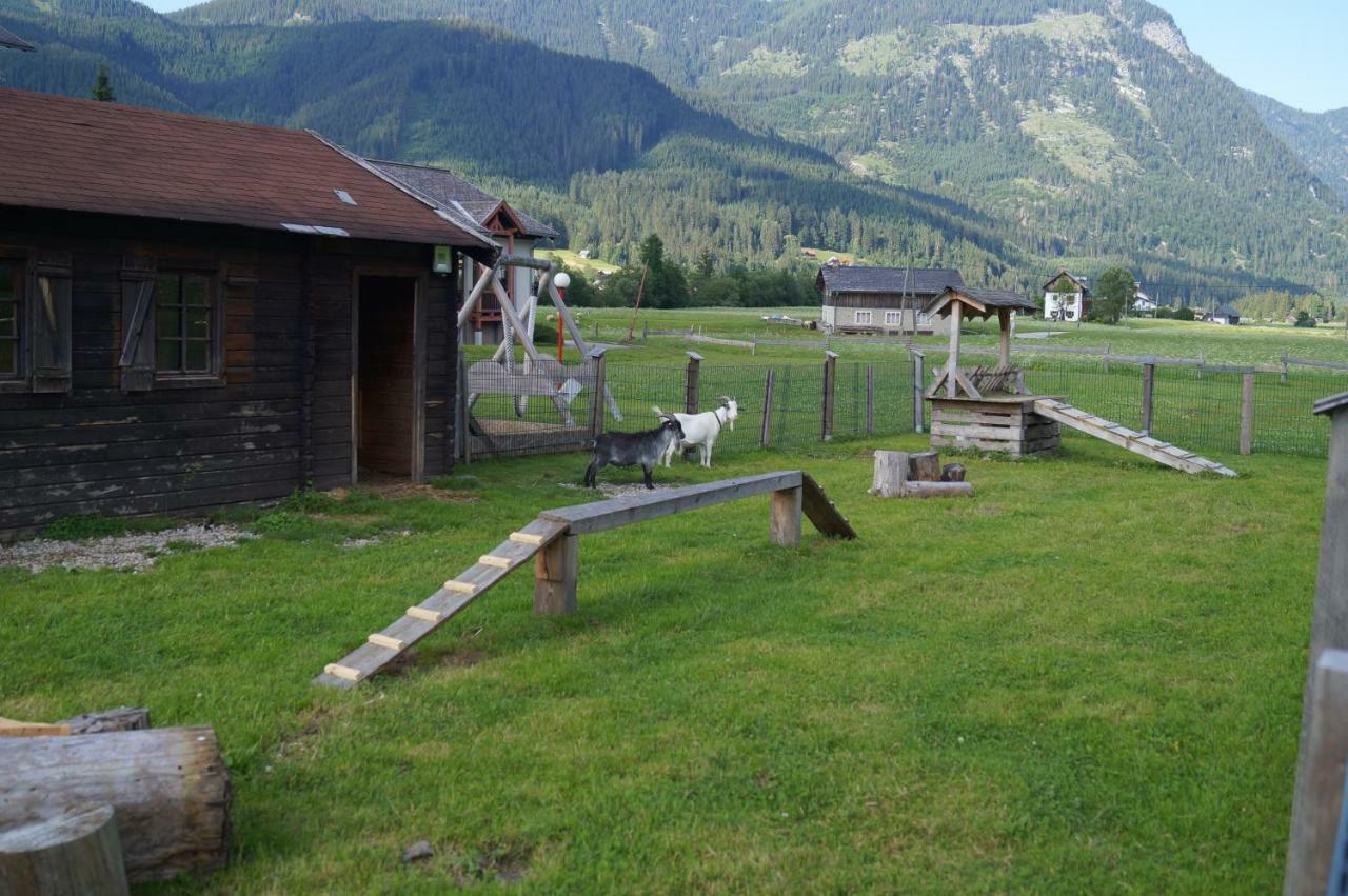 Hallstatt Dachstein Inn Gosau Εξωτερικό φωτογραφία